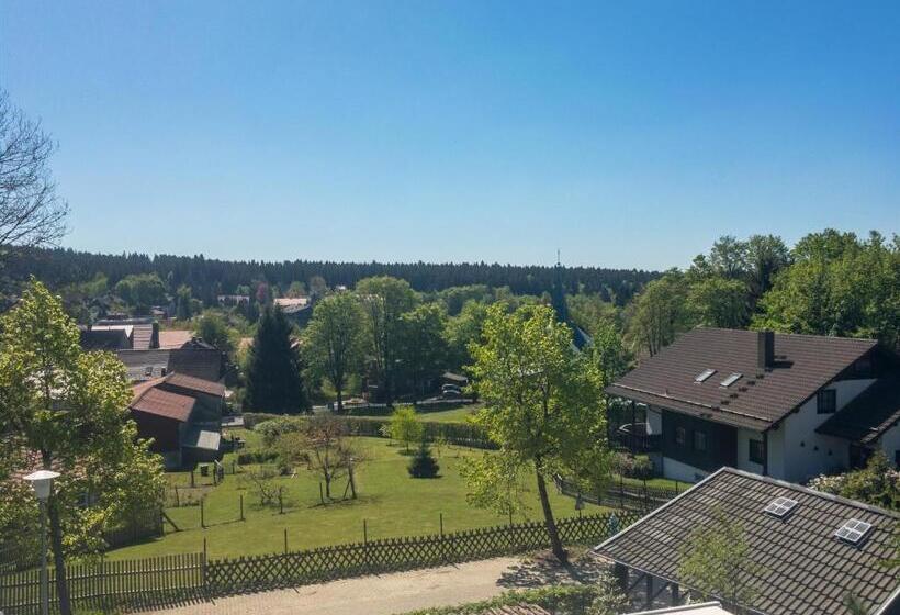 标准间带山景, Haus Waldwiese