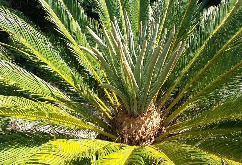 Номер Стандарт Внутренний, Casetta Vacanza In Campagna