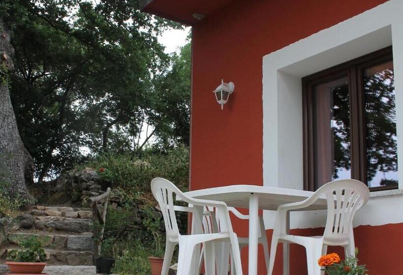 Номер Стандарт Вид на Сад, B&b Kikina