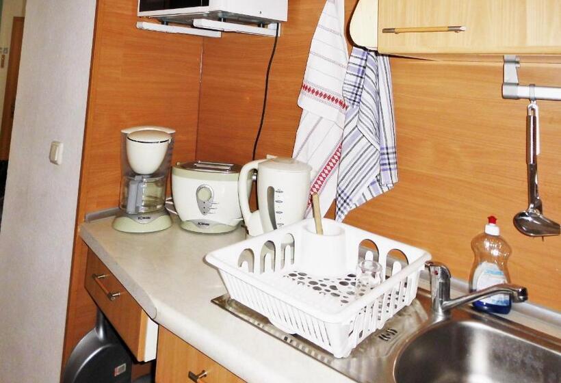 Дом 2 Спальни, Pension Pieschen Dresden