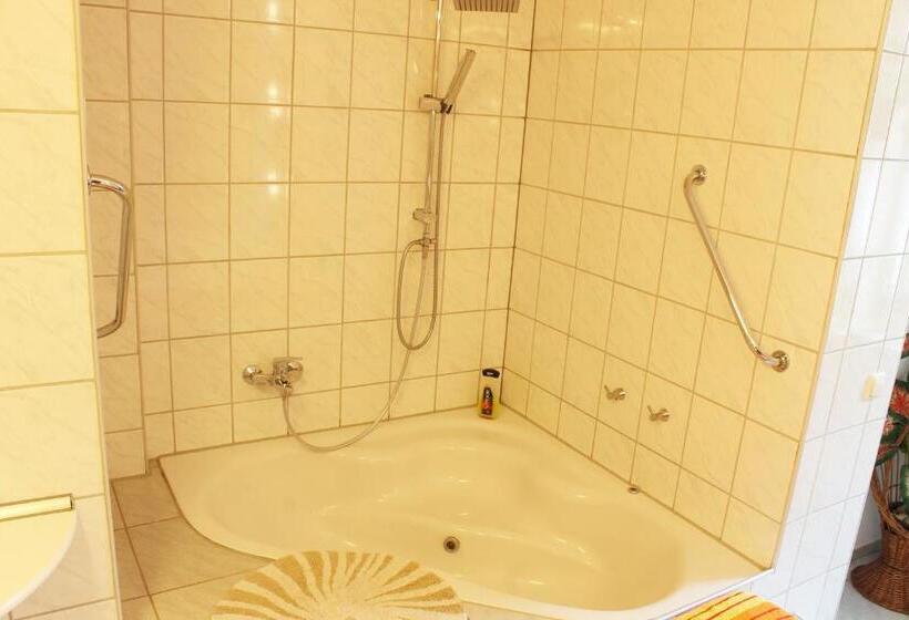 Апартаменты 1 Спальня, Pension Pieschen Dresden