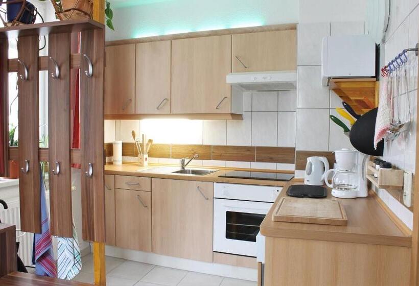 Апартаменты 1 Спальня, Pension Pieschen Dresden