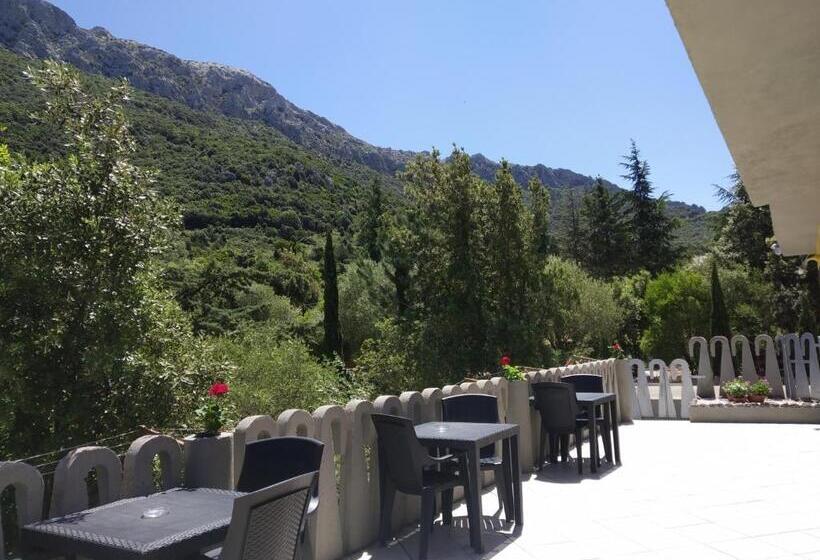 اتاق استاندارد, B&b Littu