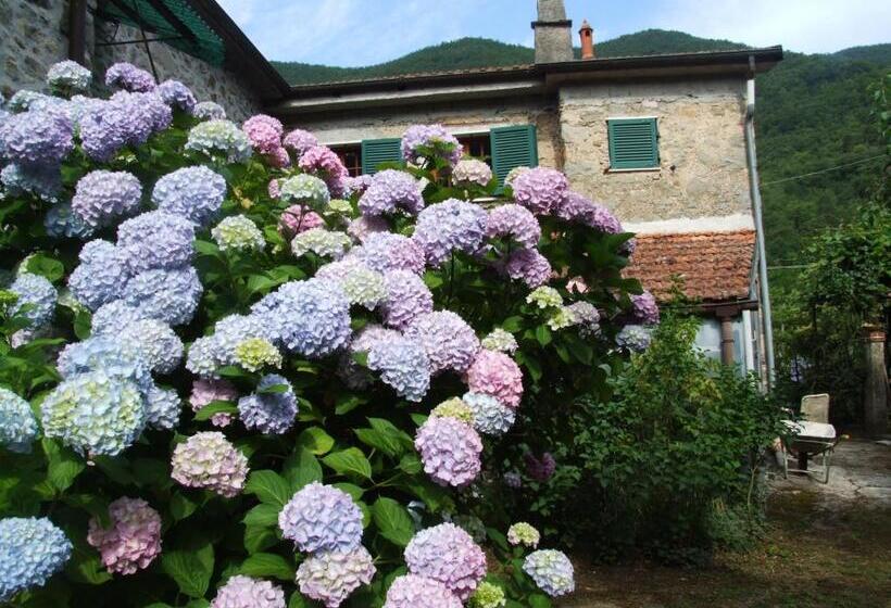 Номер Стандарт Трехместный, B&b Alle Ortensie Blu