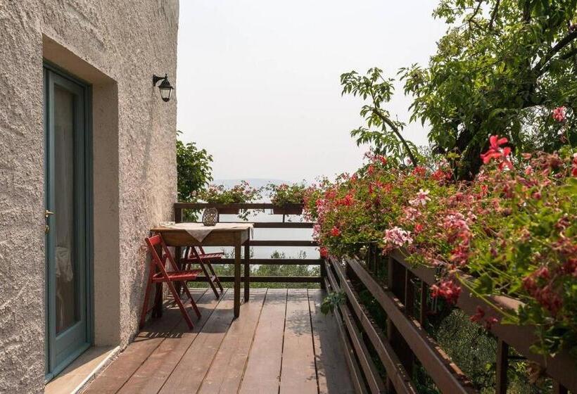 Апартаменты 1 Спальня с Террасой, Agriturismo Conte Brunello