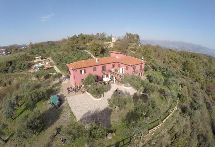 Номер Стандарт Индивидуальный, La Masseriola Agriturismo