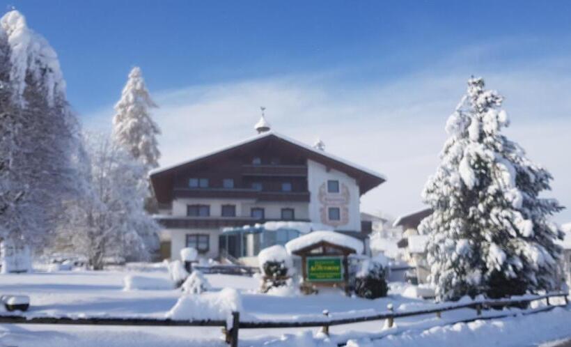 آپارتمان 1 خوابه, Sportpension Alpenrose