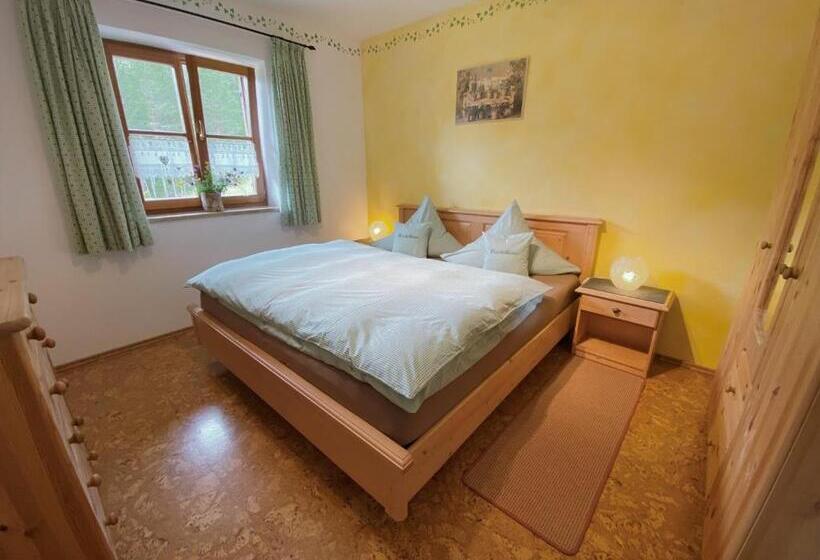 Апартаменты 1 Спальня с Балконом, Gästehaus Arnspitzblick