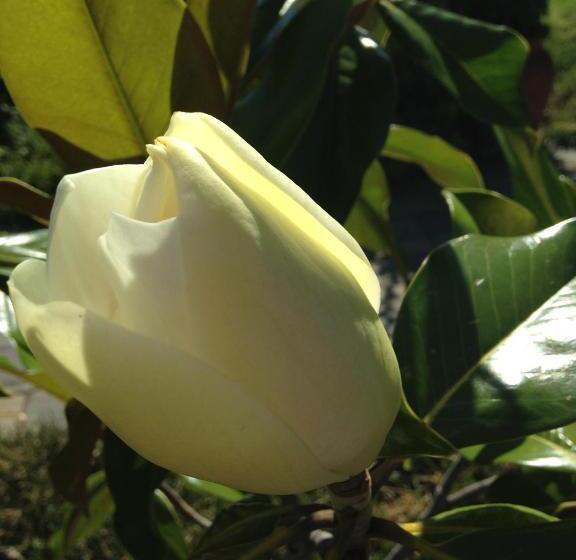 اتاق استاندارد با تخت بزرگ برای معلولان, B&b Ambrosia