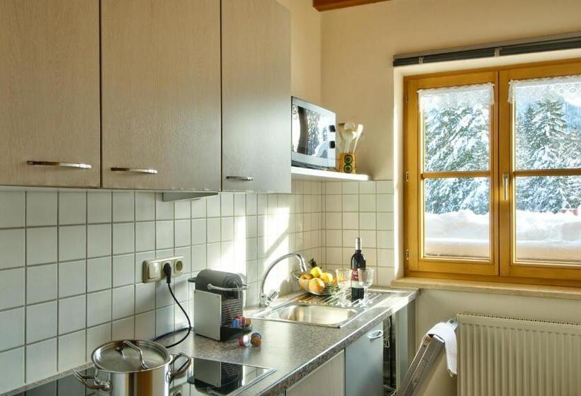 Апартаменты 1 Спальня с Балконом, Siplinger Suites   Ferienwohnungen   Sauna Und Fitness
