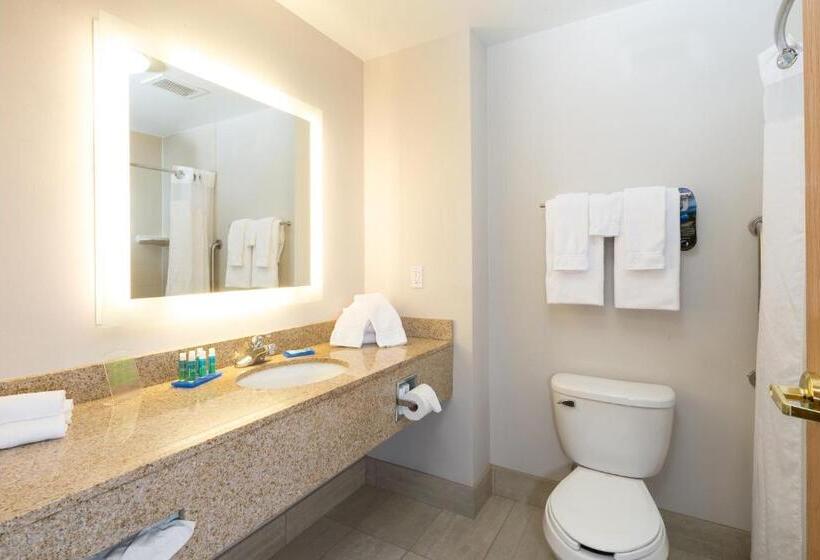 Номер Стандарт, Holiday Inn Express Hotel & Suites Detroit Utica, An Ihg