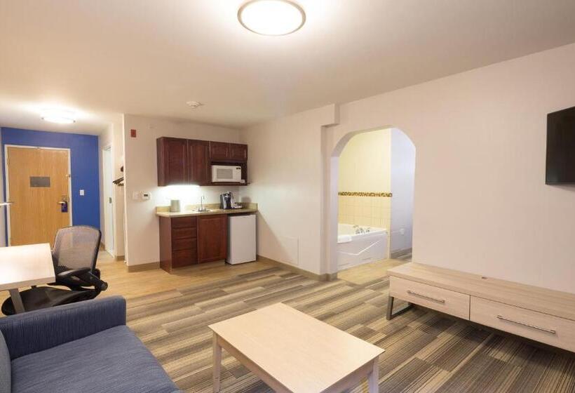 Люкс Executive Кровать Кинг, Holiday Inn Express Hotel & Suites Detroit Utica, An Ihg