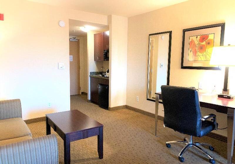 سوئیت با تخت بزرگ, Holiday Inn Express Fresno Northwest   Herndon, An Ihg