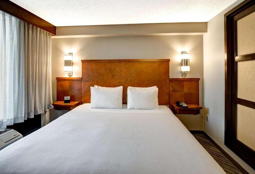 Номер Стандарт Кровать Кинг Адаптированный для Инвалидов, Hyatt Place Richmond   Innsbrook