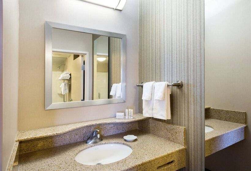 Suite, Springhill Suites Indianapolis Fishers