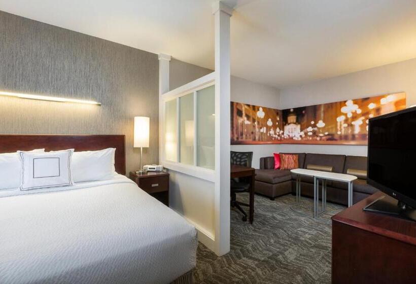 Suite Pat King, Springhill Suites Indianapolis Fishers