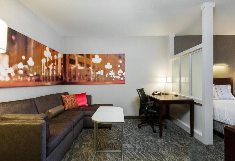 Suite Adaptată pentru Discapacitaţi, Springhill Suites Indianapolis Fishers
