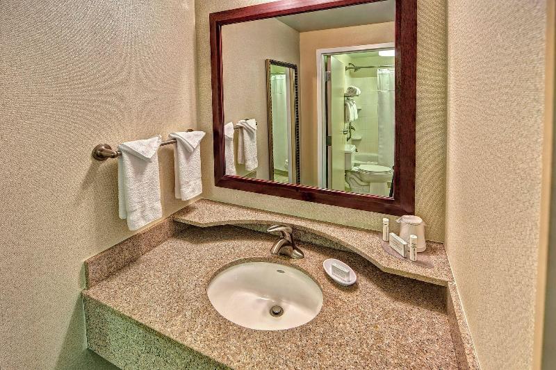 套房, Springhill Suites Norfolk Old Dominion University