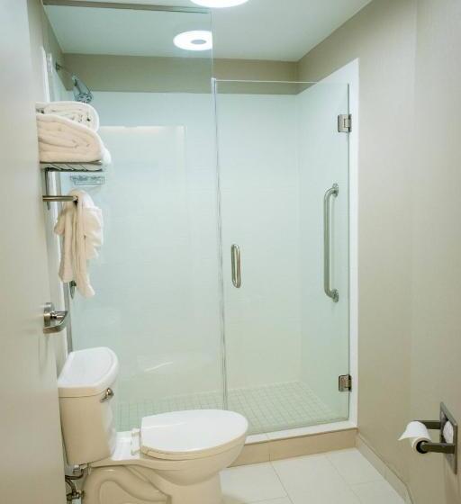 Студио Стандарт Кровать Кинг, Springhill Suites By Marriott Winston Salem Hanes Mall