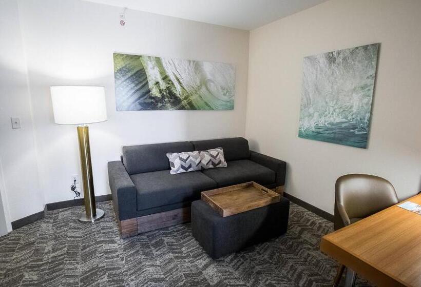 Студио Стандарт Кровать Кинг, Springhill Suites By Marriott Winston Salem Hanes Mall