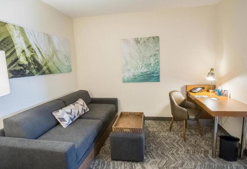 Студия Стандарт, Springhill Suites By Marriott Winston Salem Hanes Mall