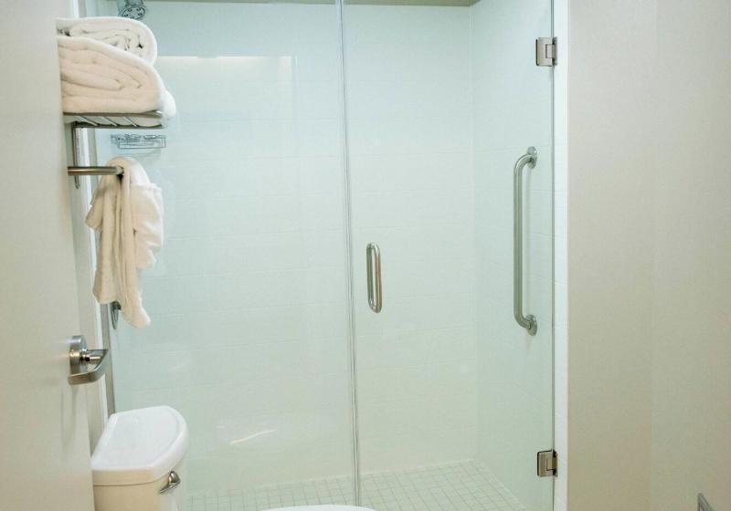 Студио Стандарт Кровать Кинг, Springhill Suites By Marriott Winston Salem Hanes Mall