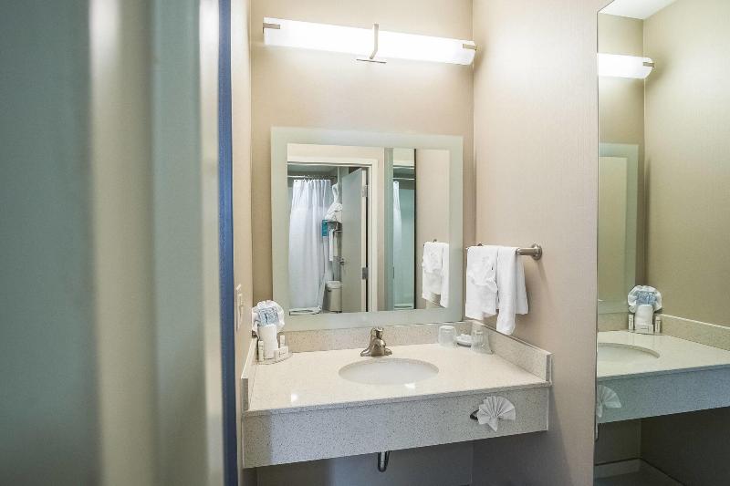 Студио Стандарт Кровать Кинг, Springhill Suites By Marriott Winston Salem Hanes Mall