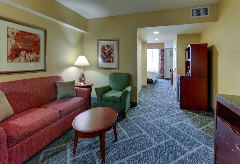 Suite, Hilton Garden Inn Indianapolis Airport