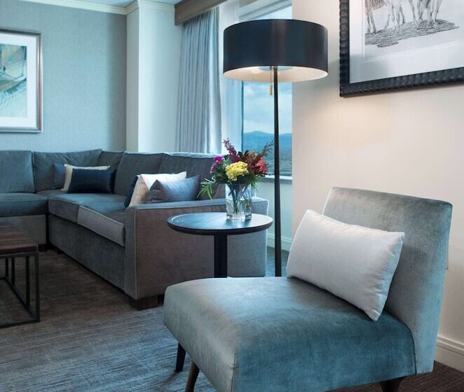 스위트, Hyatt Regency Denver At Colorado Convention Center