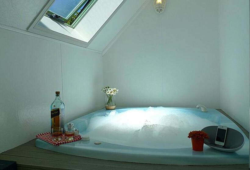 舒适一室公寓, Rotorua Coachman Spa Motel