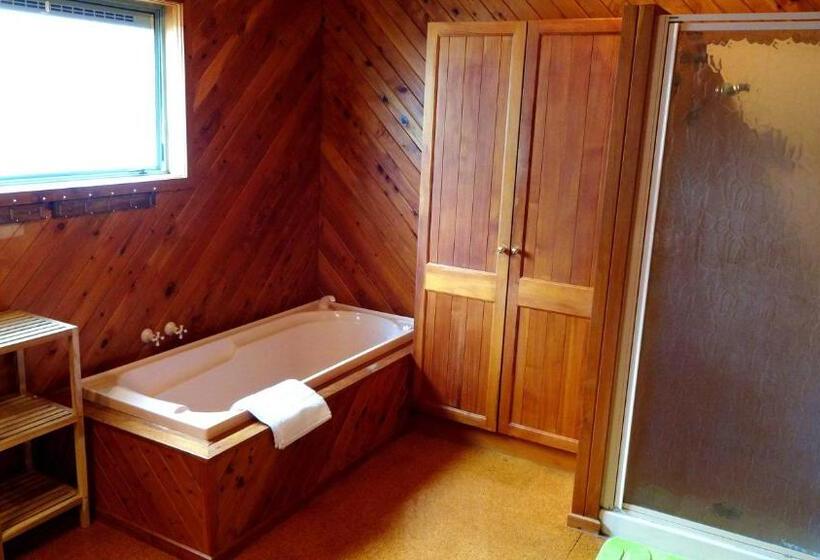 带1个卧室的舒适公寓, Rotorua Coachman Spa Motel