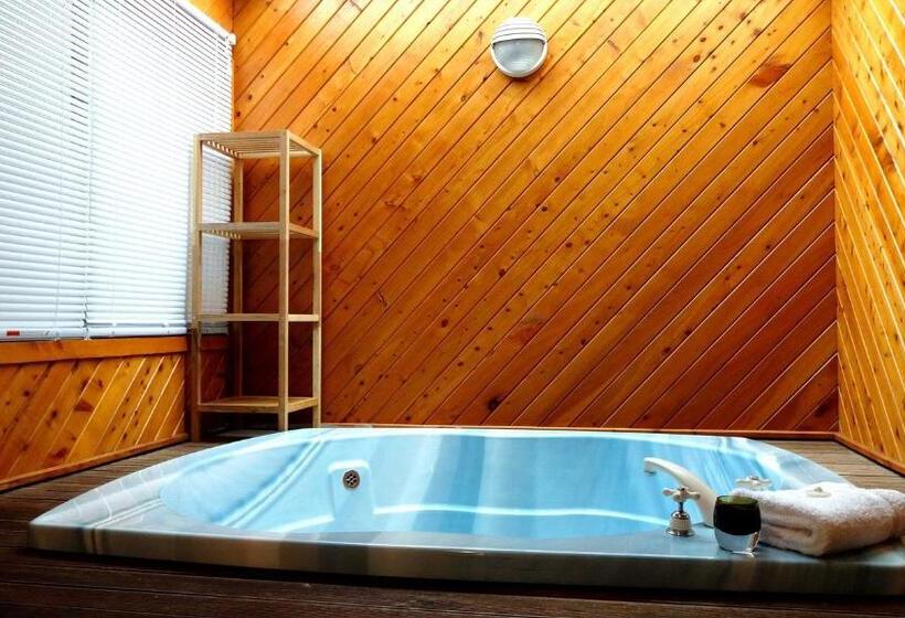 带1个卧室的舒适公寓, Rotorua Coachman Spa Motel