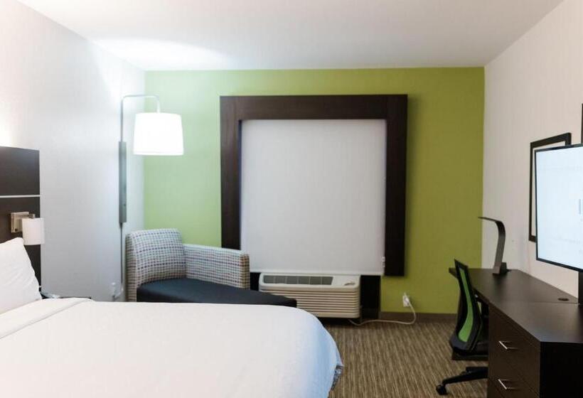 스탠다드 룸 킹사이즈 침대, Holiday Inn Express Hotel & Suites Greenville, An Ihg