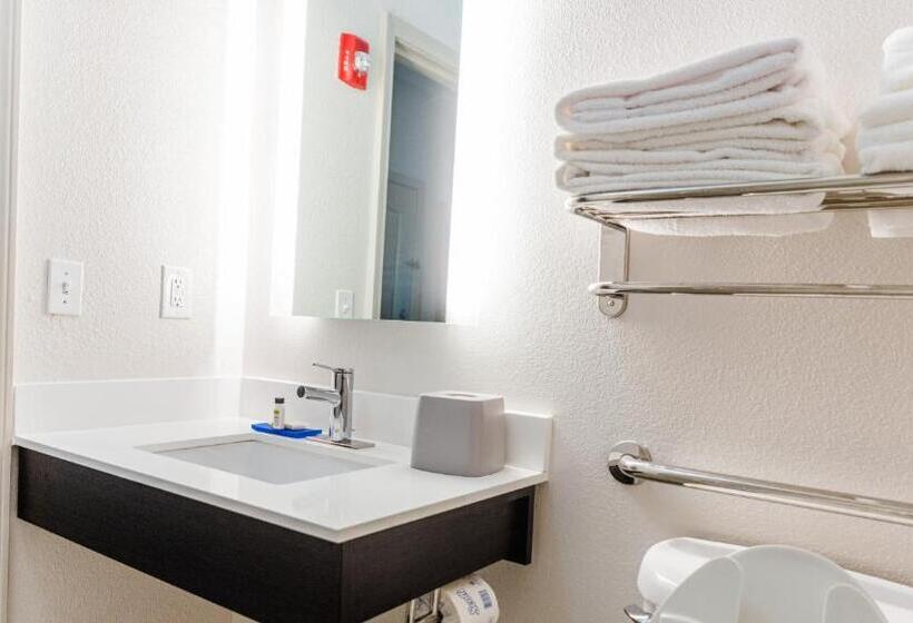 장애인을 위한 스탠다드 룸, Holiday Inn Express Hotel & Suites Greenville, An Ihg