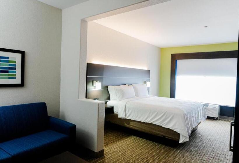 스위트 킹사이즈 침대, Holiday Inn Express Hotel & Suites Greenville, An Ihg