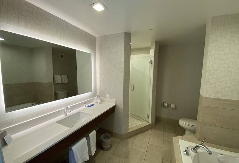 Люкс, Holiday Inn Express Hotel & Suites El Dorado Hills, An Ihg