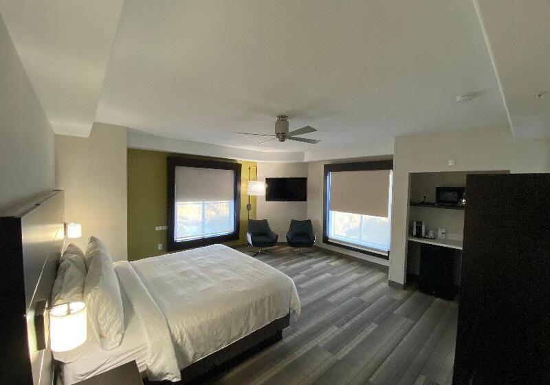 Стандартный Номер Кровать Кинг, Holiday Inn Express Hotel & Suites El Dorado Hills, An Ihg