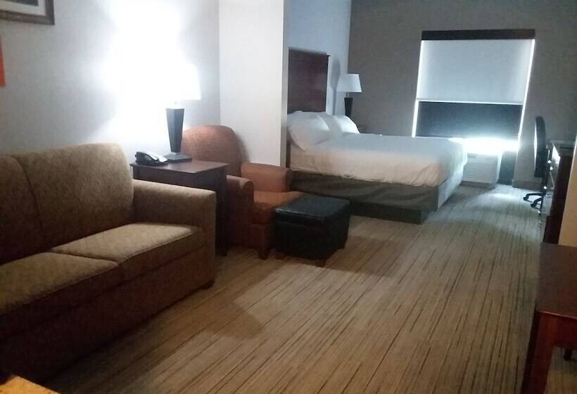 장애인을 위한 스위트, Holiday Inn Express Hotel & Suites Lake Placid, An Ihg