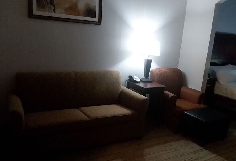 스위트, Holiday Inn Express Hotel & Suites Lake Placid, An Ihg