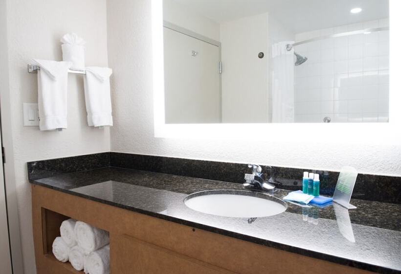 Номер Стандарт 2 Двуспальные Кровати, Holiday Inn Express Pascagoula Moss Point, An Ihg