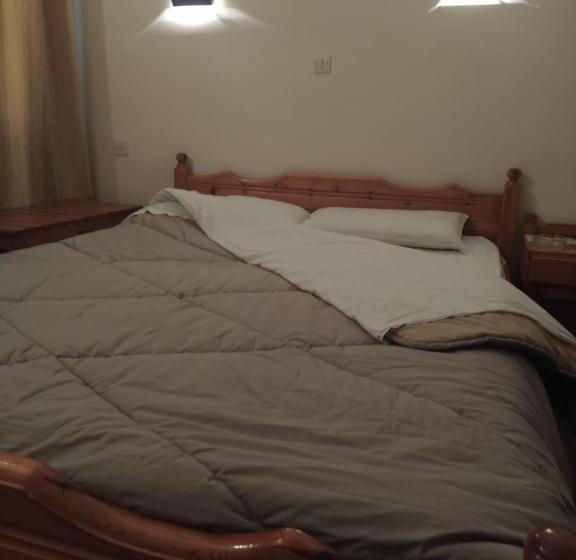 Balkonlu Standart Oda, Apollon Inn