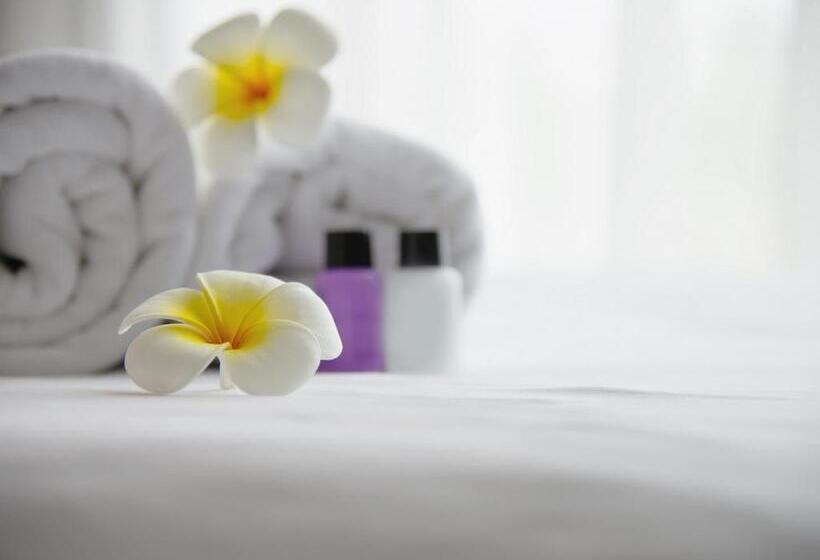 اتاق استاندارد, Dalaman Airport Lykia Thermal & Spa