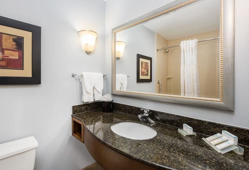 Standard Værelse King Size Seng, Hilton Garden Inn St. Louis Shiloh/o Fallon Il