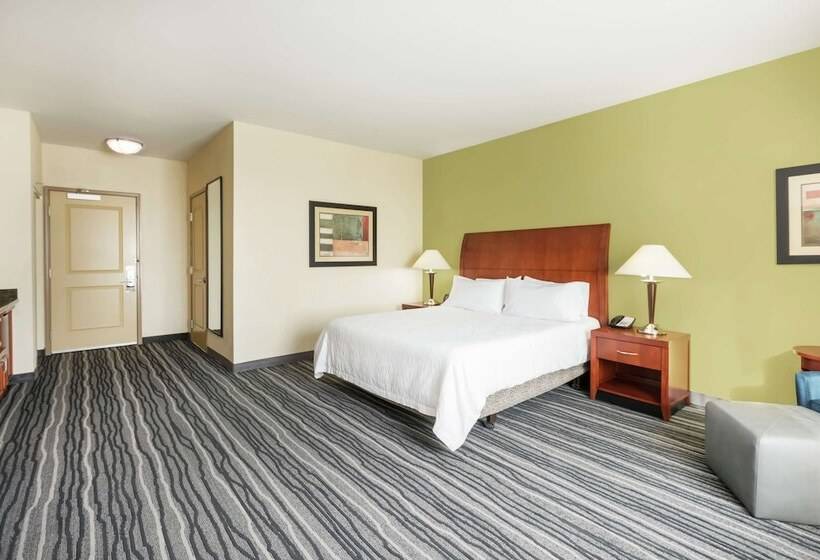 Standard Værelse King-seng Tilpasset til Handicappede, Hilton Garden Inn St. Louis Shiloh/o Fallon Il