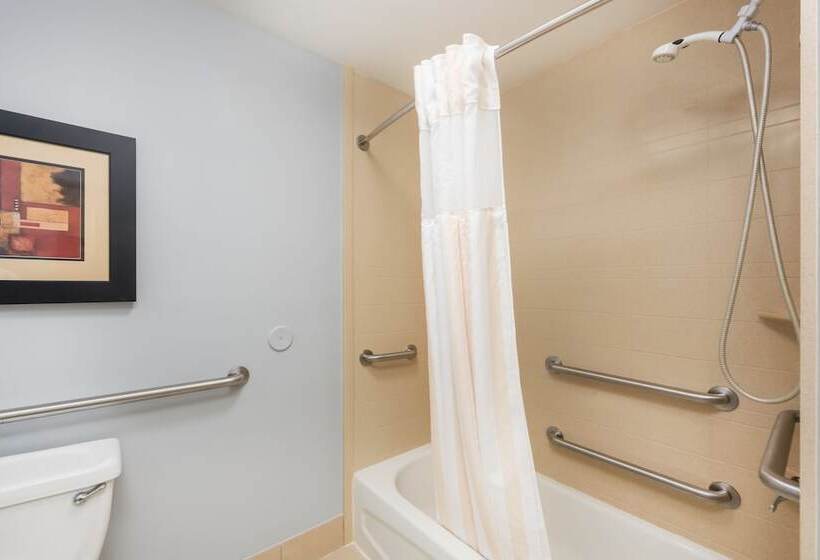 Standard Værelse King-seng Tilpasset til Handicappede, Hilton Garden Inn St. Louis Shiloh/o Fallon Il