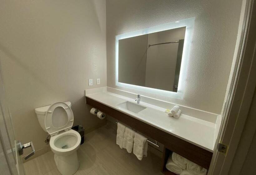 Habitació Estàndard Llit King, Holiday Inn Express Hotel Galveston West Seawall, An Ihg