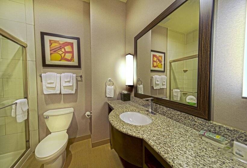 اتاق استاندارد, Holiday Inn Houston West   Westway Park, An Ihg