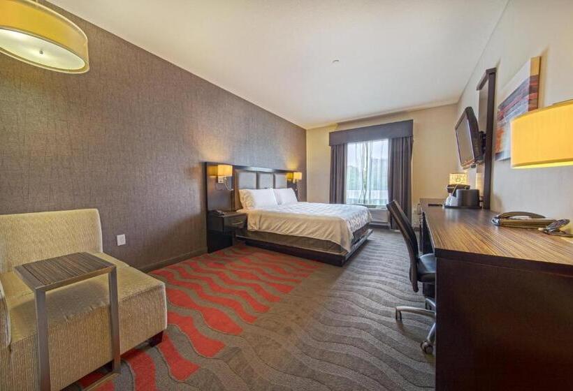 اتاق اجرایی با تخت بزرگ, Holiday Inn Houston West   Westway Park, An Ihg