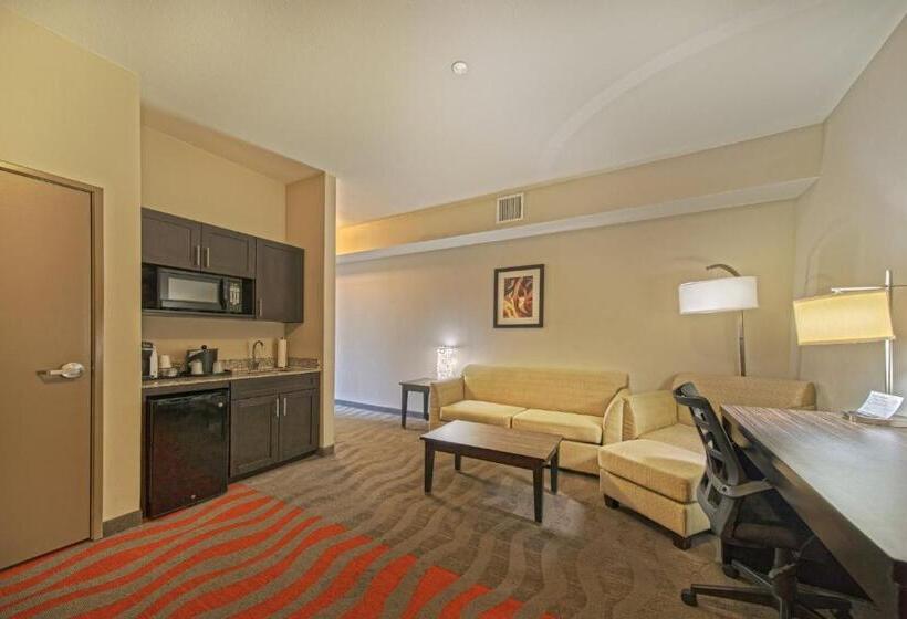 اتاق استاندارد با تخت بزرگ برای معلولان, Holiday Inn Houston West   Westway Park, An Ihg