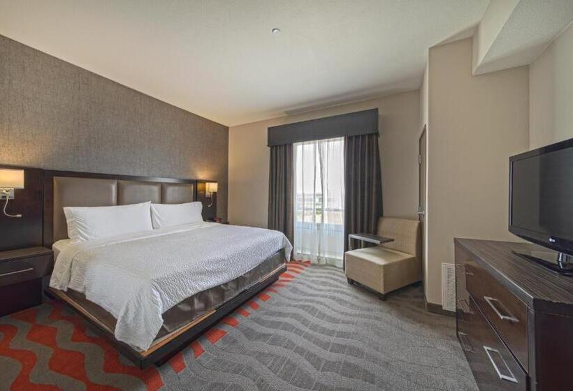 اتاق استاندارد با تخت بزرگ برای معلولان, Holiday Inn Houston West   Westway Park, An Ihg